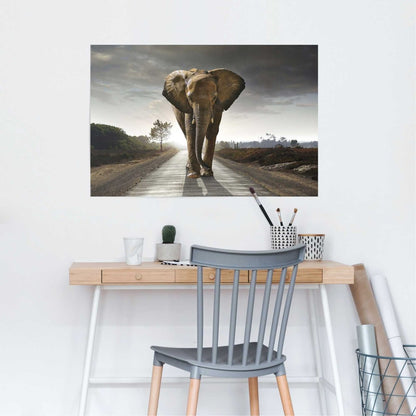 Poster Olifant 61x91,5 - Reinders