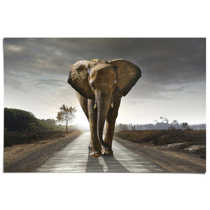 Poster Olifant 61x91,5 - Reinders