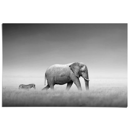 Poster Olifant & zebra 61x91,5 - Reinders