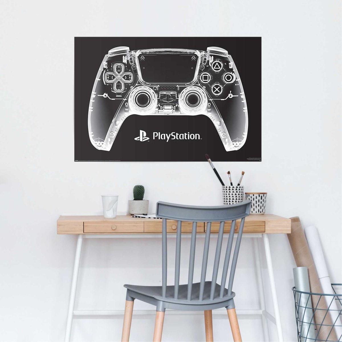 Poster PS Controller 61x91,5 - Reinders