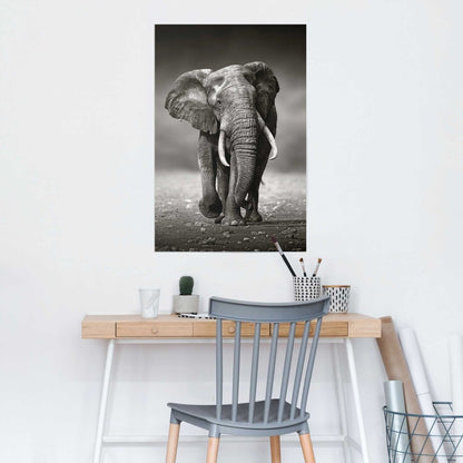 Poster Wandelende olifant 91,5x61 - Reinders