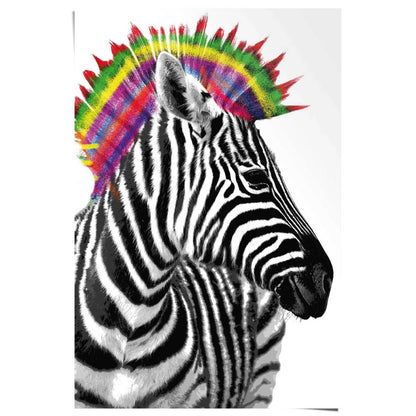 Poster Zebra punker 91,5x61 - Reinders