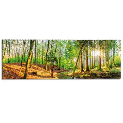 Wandbild Sonniger Wald 52x156