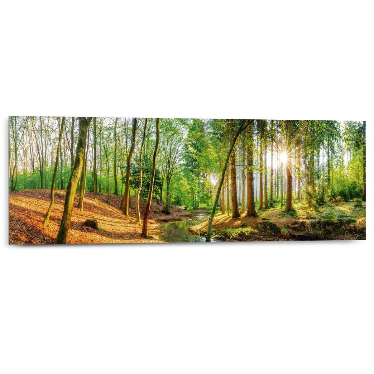 Schilderij Lentebos 30x90 - Reinders