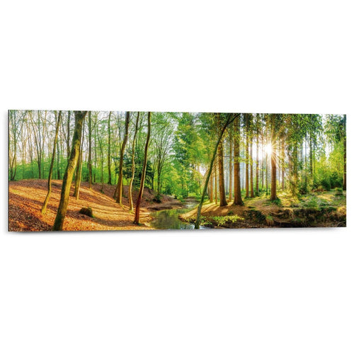 Wandbild Sonniger Wald  30x90
