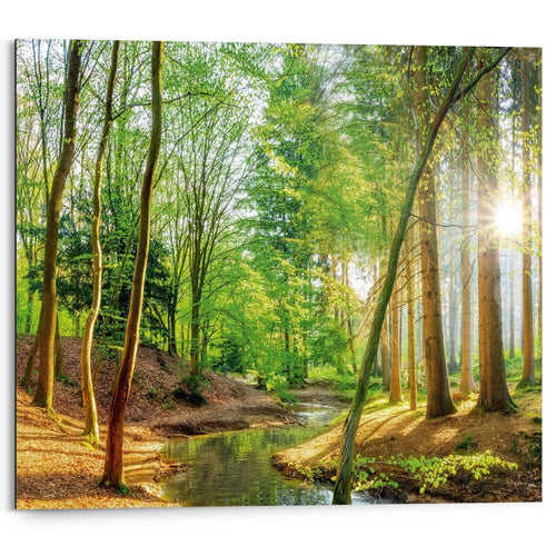 Wandbild Sonniger Wald  40x50