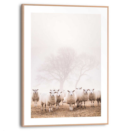 Schilderij Schaap in de mist 40x30 - Reinders
