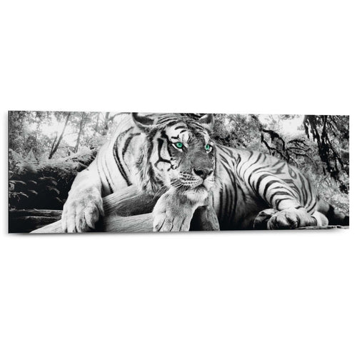 Wandbild Tigerblick 30x90