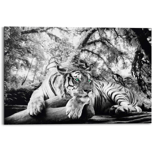 Wandbild Tigerblick 60x90