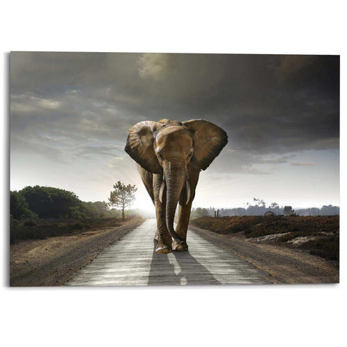 Wandbild Elefantenkönig 100x140