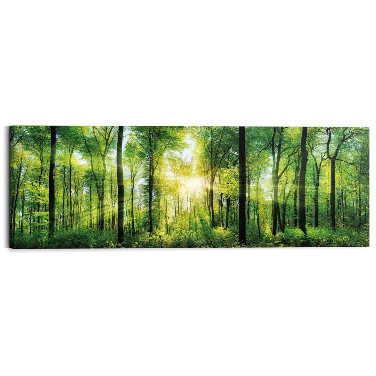 Schilderij Zomer bos 40x118 - Reinders