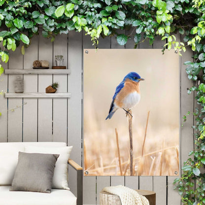 Tuinposter Blauw vogeltje 80x60 - Reinders