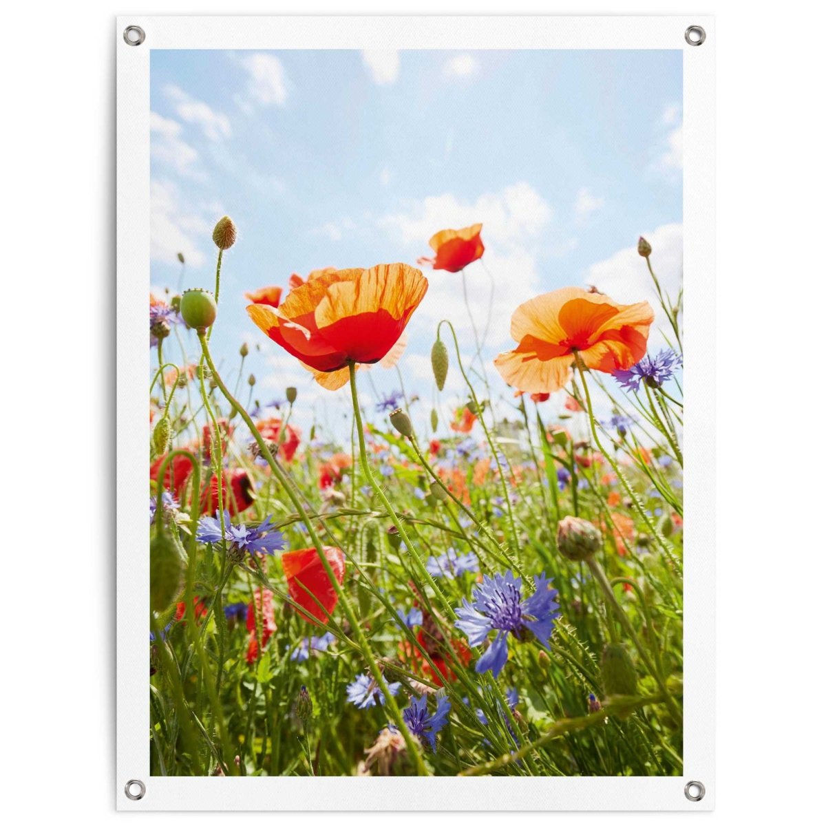 Tuinposter Bloemenveld 80x60 - Reinders