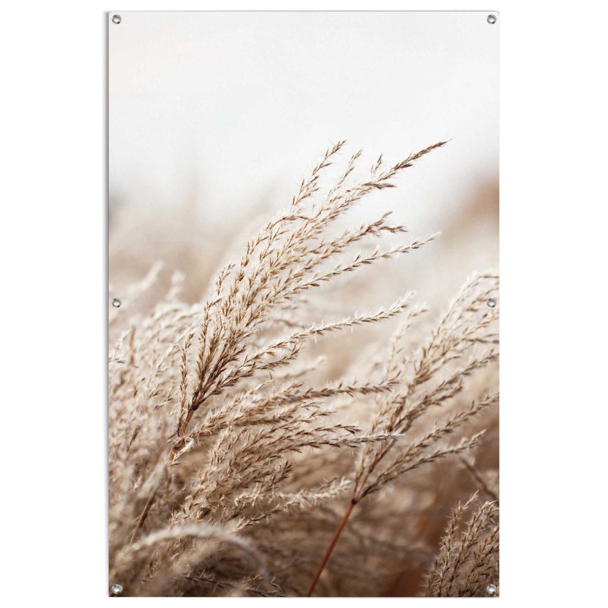 Tuinposter Helmgras 120x80 - Reinders