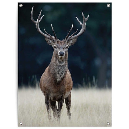 Tuinposter Hert 80x60 - Reinders