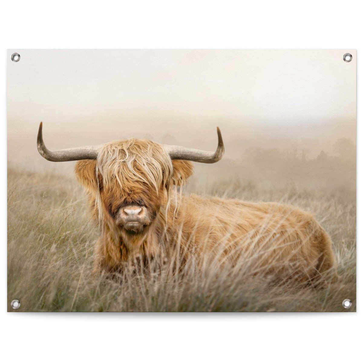 Tuinposter Hooglander 60x80 - Reinders