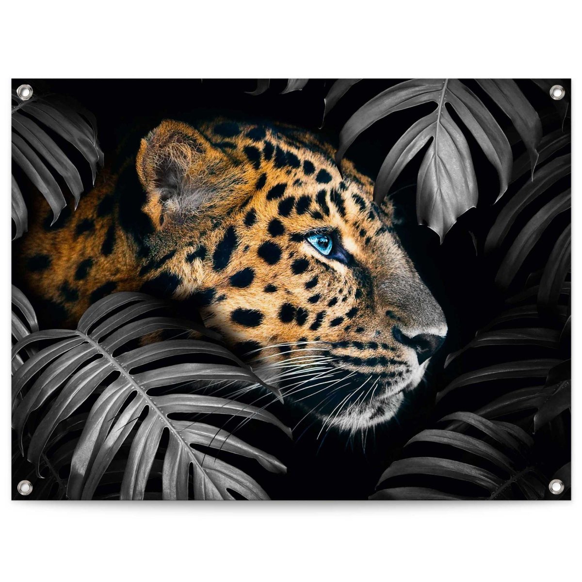 Tuinposter Jungle luipaard 60x80 - Reinders