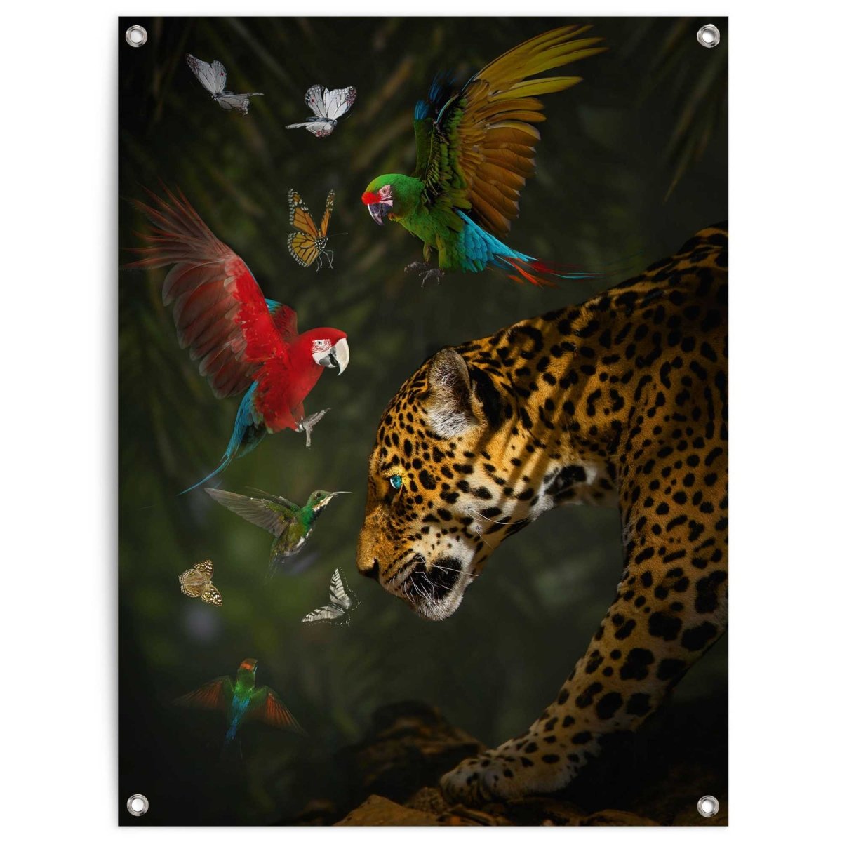 Tuinposter Jungledieren 80x60 - Reinders