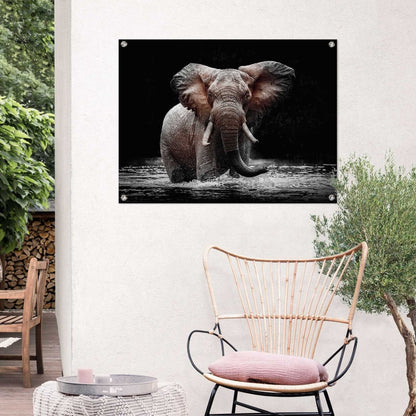 Tuinposter Olifant 60x80 - Reinders