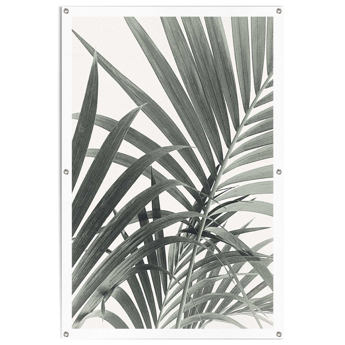 Tuinposter Palmbladeren 120x80 - Reinders