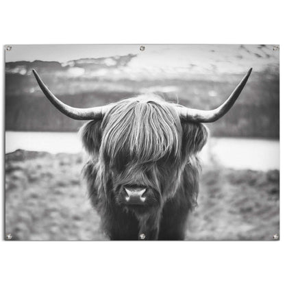 Tuinposter Schotse Hooglander 100x140 - Reinders