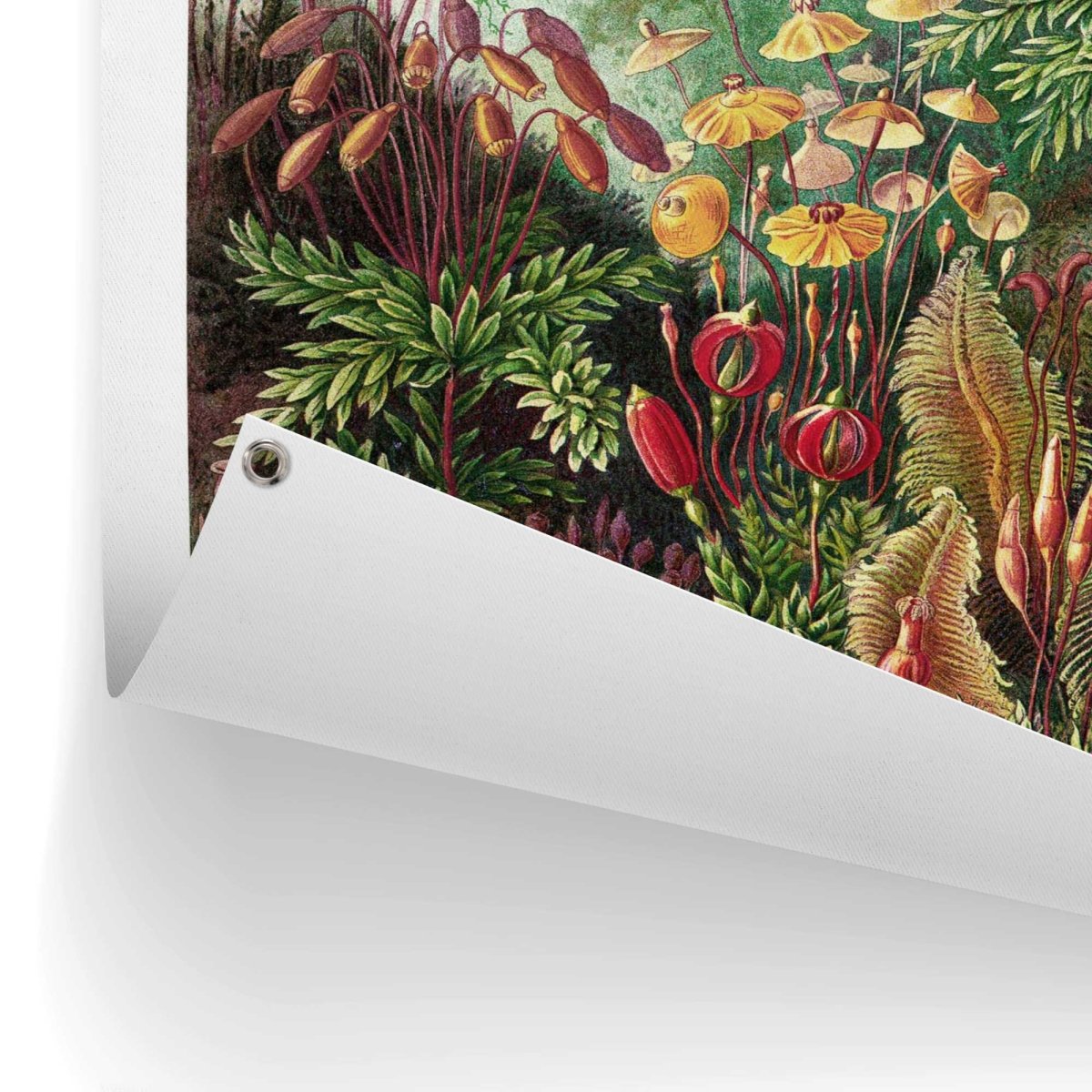 Tuinposter Sea Flora 80x60 - Reinders