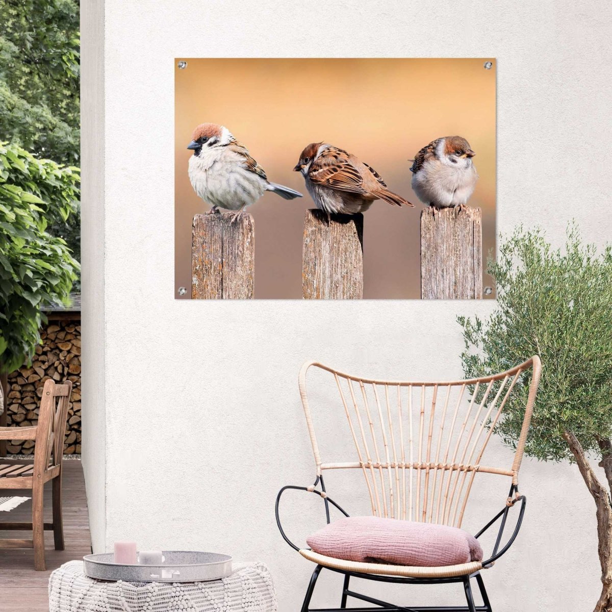 Tuinposter Vogels 60x80 - Reinders