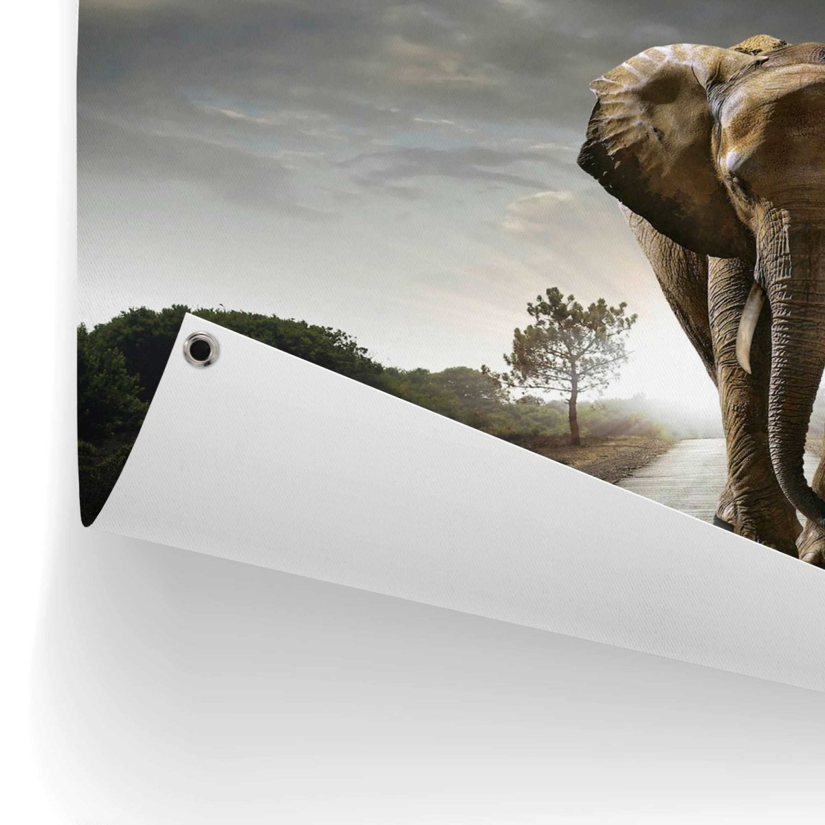 Tuinposter Wandelende olifant 60x80 - Reinders