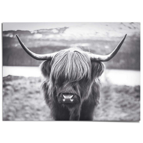 Giant Poster XXL Hochländer Kuh 100x140