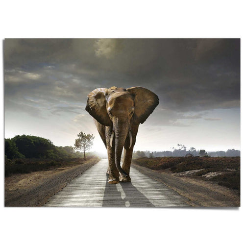 Giant Poster XXL Elefantenkönig 100x140